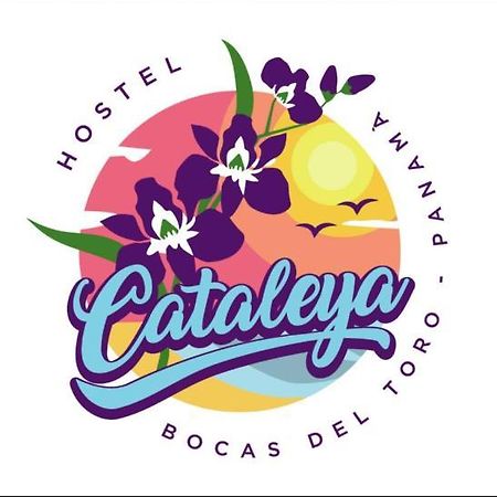 Cataleya Hostel, Bocas Del Toro מראה חיצוני תמונה