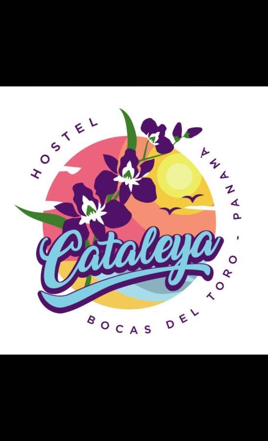 Cataleya Hostel, Bocas Del Toro מראה חיצוני תמונה