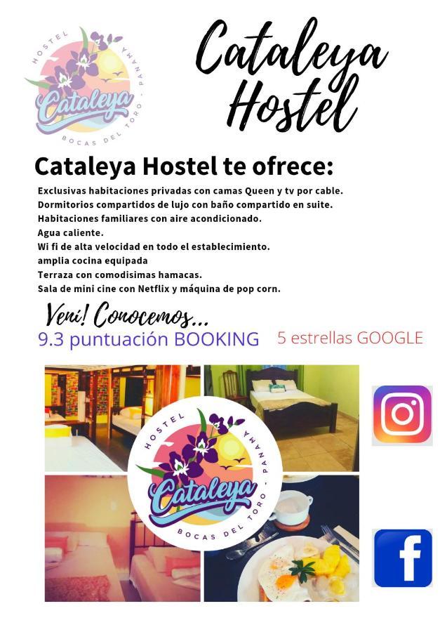 Cataleya Hostel, Bocas Del Toro מראה חיצוני תמונה